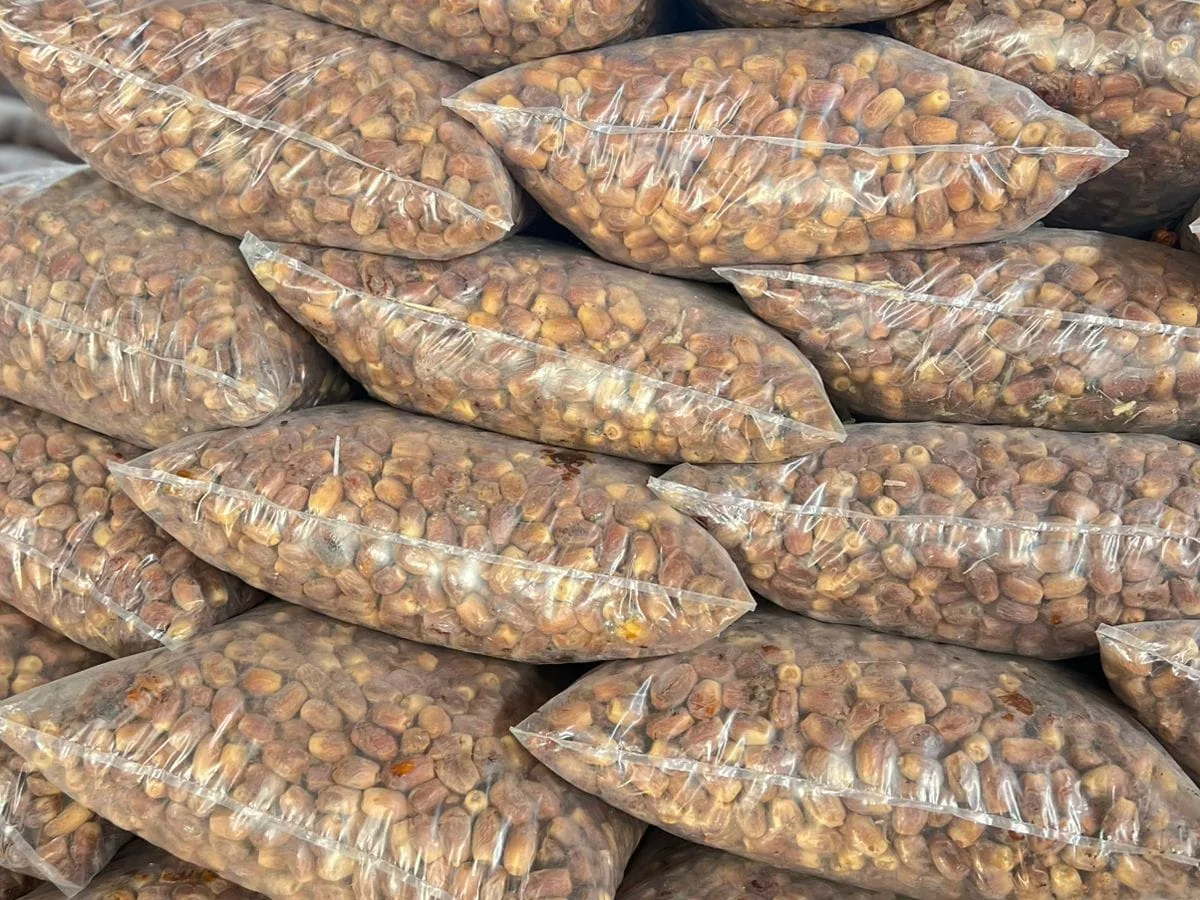 أكياس جملة من تمر الزهدي